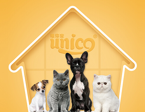 Unico活动